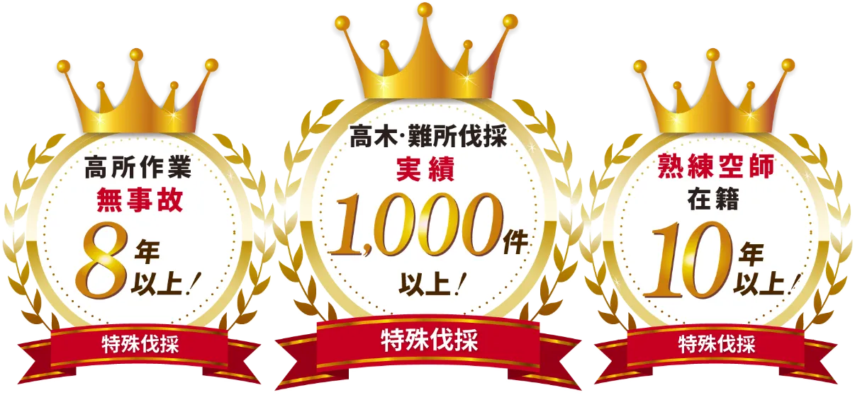 特殊伐採 高所作業無事故8年以上！ 特殊伐採 高木・難所伐採実績1,000件以上！ 特殊伐採 熟練空師在籍10年以上！